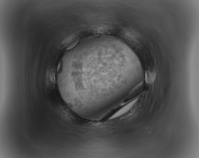 X0000087001155200704161519