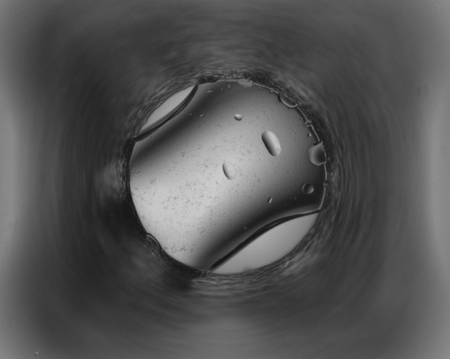 X0000087001156200704161519