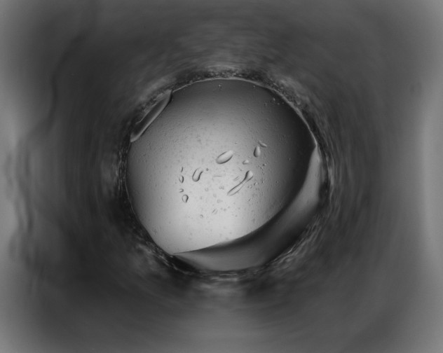 X0000087001157200704161519
