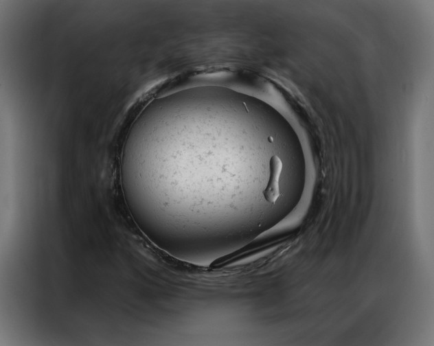 X0000087001160200704161518