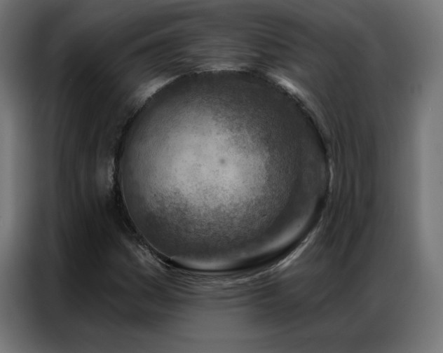 X0000087001161200704161518
