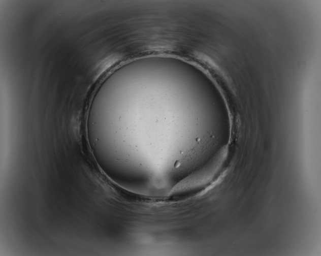 X0000087001162200704161518