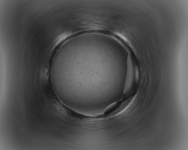 X0000087001163200704161518
