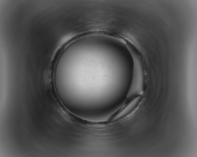 X0000087001164200704161518