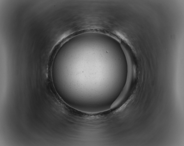 X0000087001165200704161518