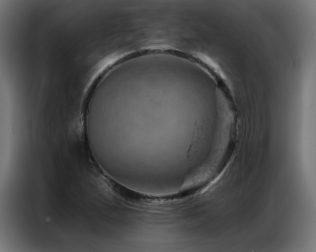 X0000087001167200704161518