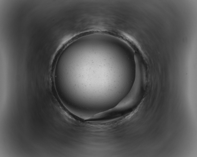X0000087001168200704161518