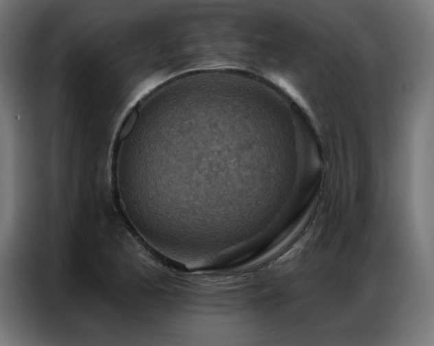X0000087001173200704161518