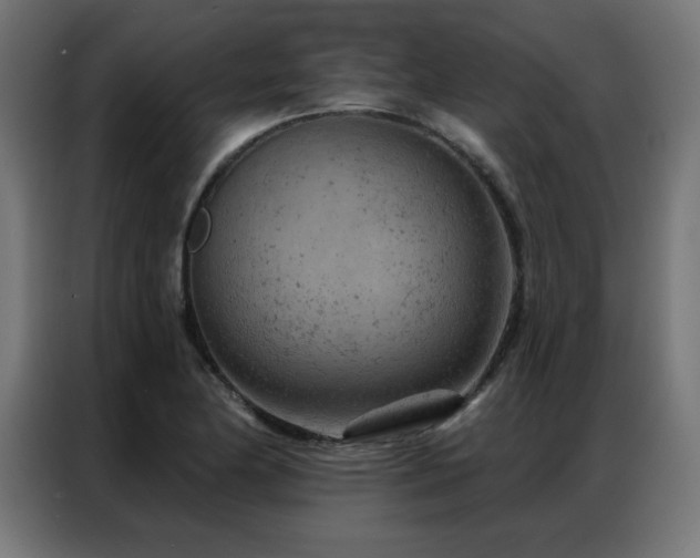 X0000087001174200704161518