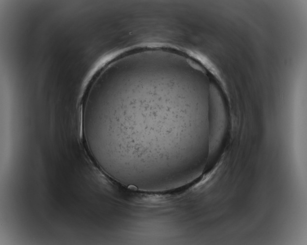 X0000087001175200704161518