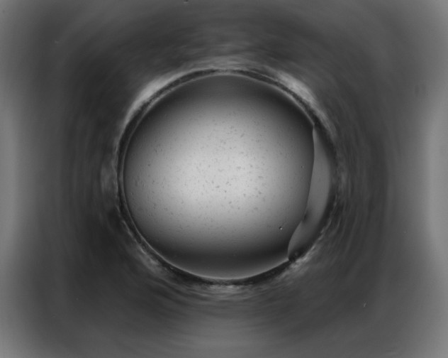 X0000087001176200704161518