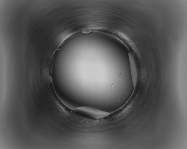 X0000087001177200704161518