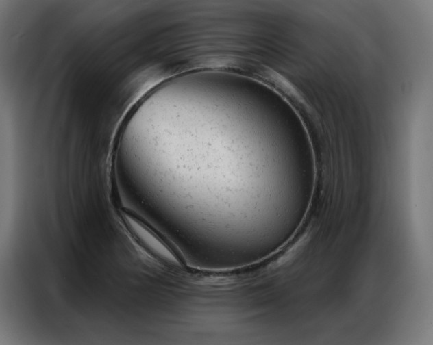 X0000087001178200704161518