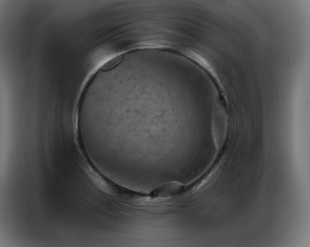 X0000087001179200704161518
