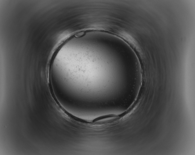 X0000087001180200704161518