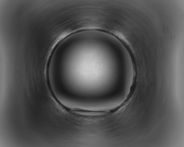 X0000087001181200704161518