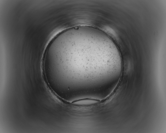 X0000087001182200704161518
