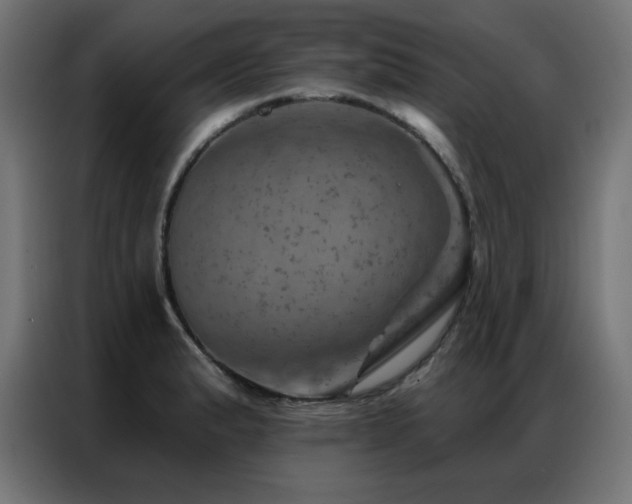 X0000087001183200704161518