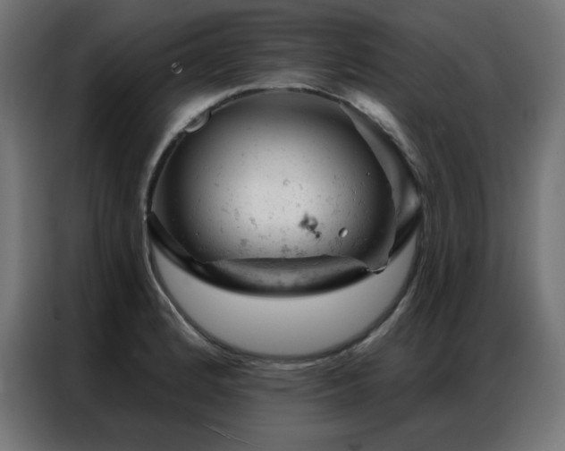 X0000087001184200704161518