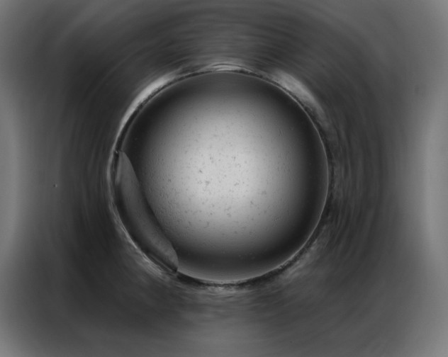 X0000087001190200704161518