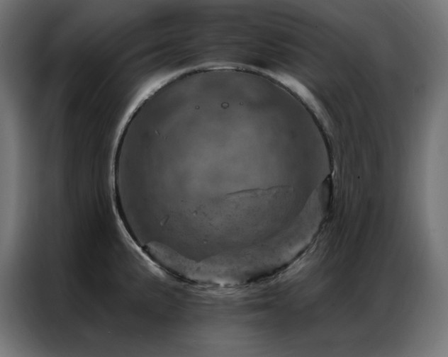 X0000087001191200704161518