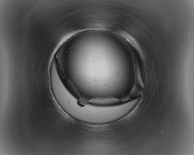 X0000087001192200704161518