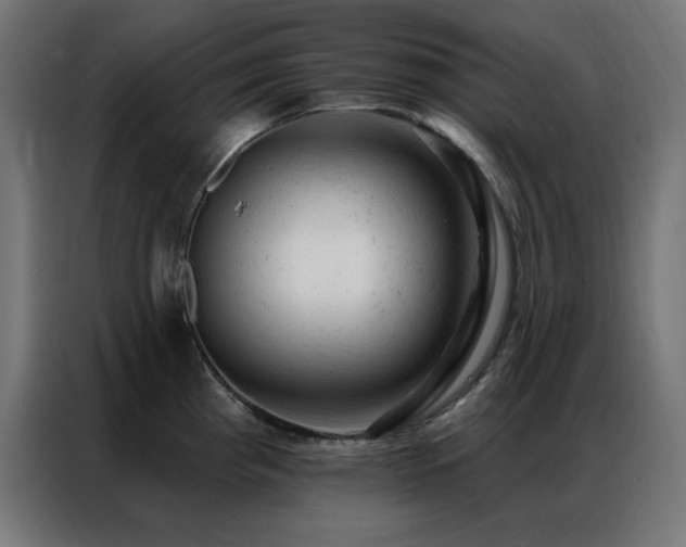 X0000087001193200704161518
