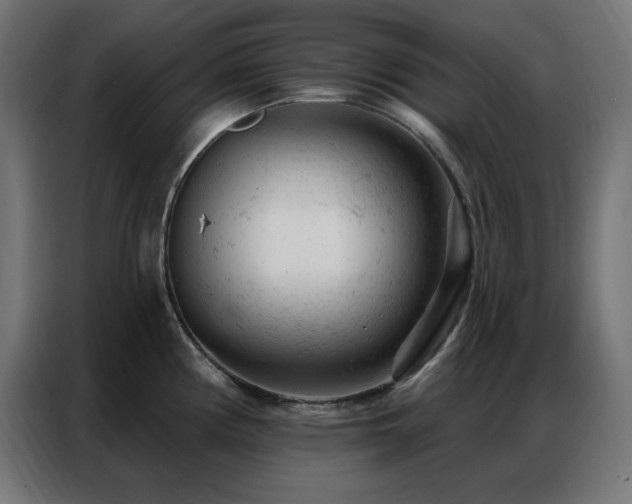 X0000087001194200704161518