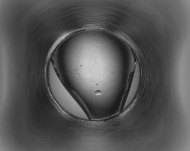 X0000087001196200704161518