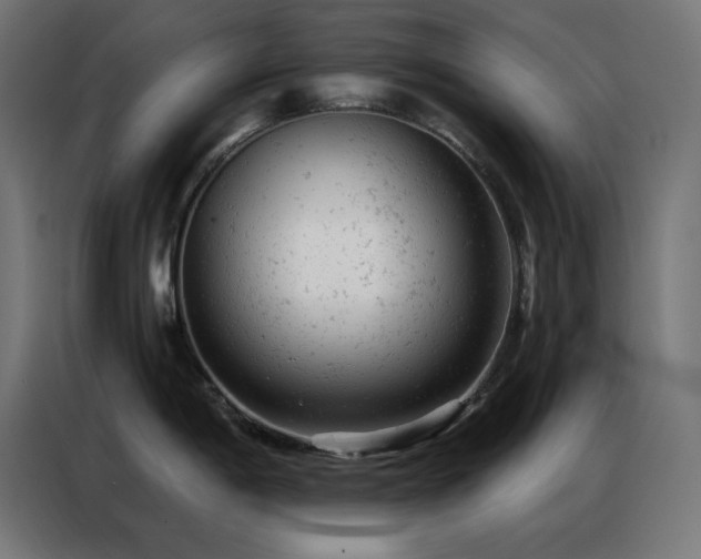 X0000087001198200704161518