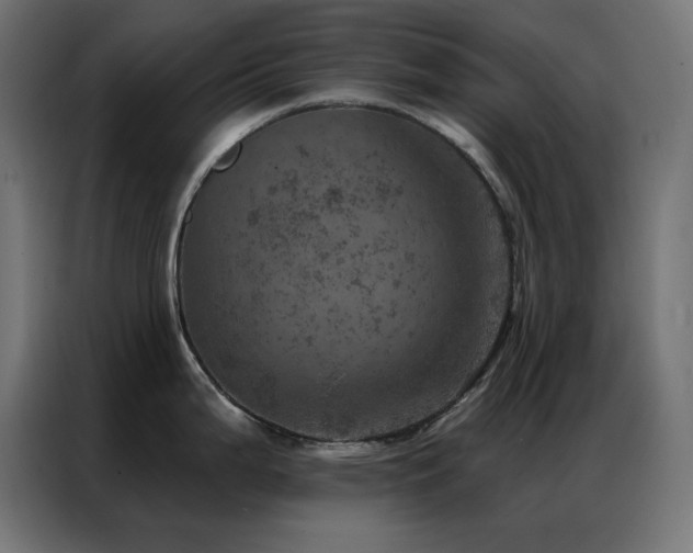 X0000087001199200704161518