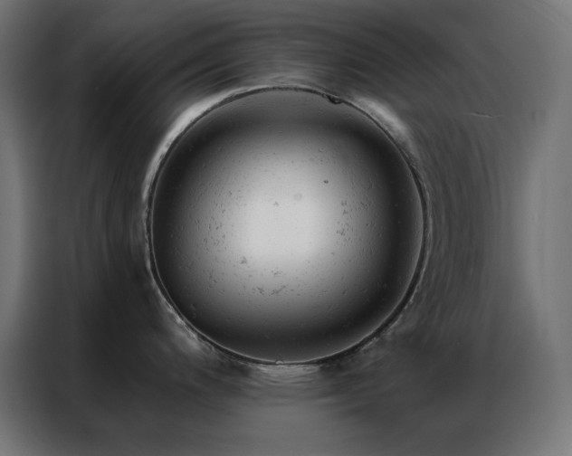 X0000087001200200704161518