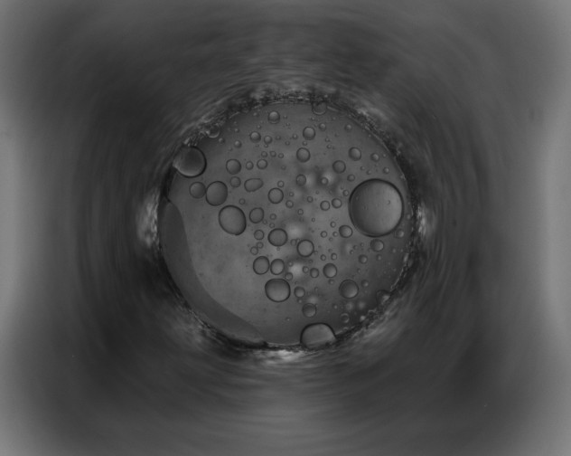 X0000087001203200704161517