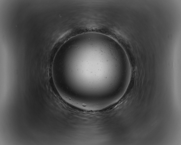 X0000087001205200704161518