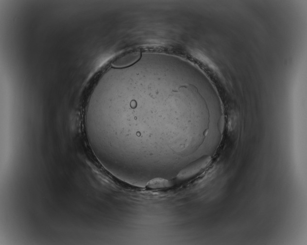 X0000087001208200704161518
