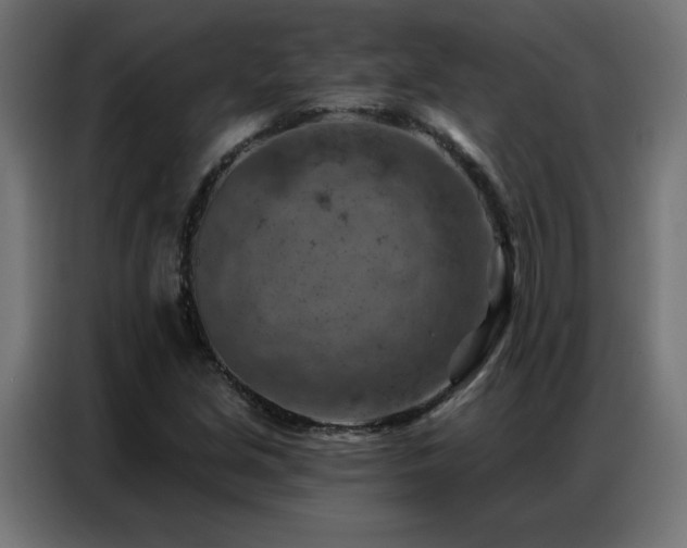 X0000087001213200704161518