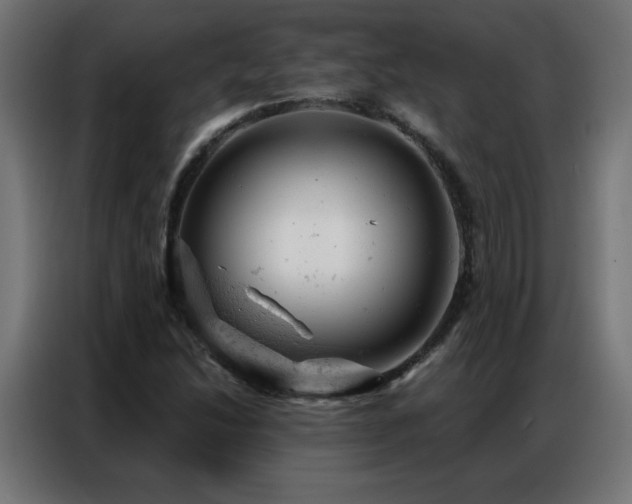 X0000087001214200704161518
