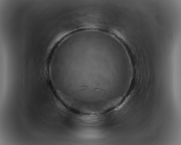 X0000087001215200704161518