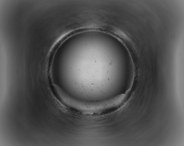 X0000087001216200704161518