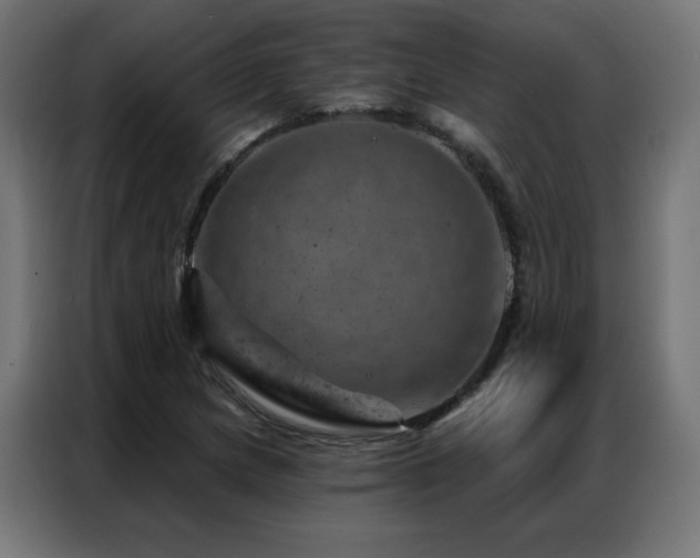 X0000087001217200704161518