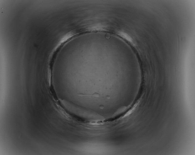 X0000087001219200704161518