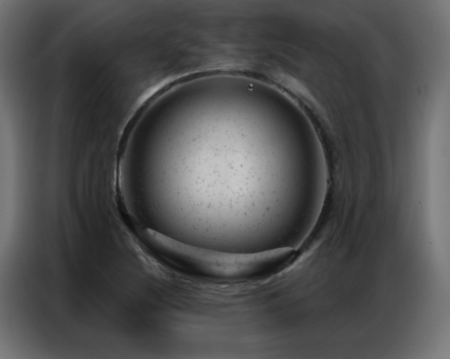 X0000087001220200704161518