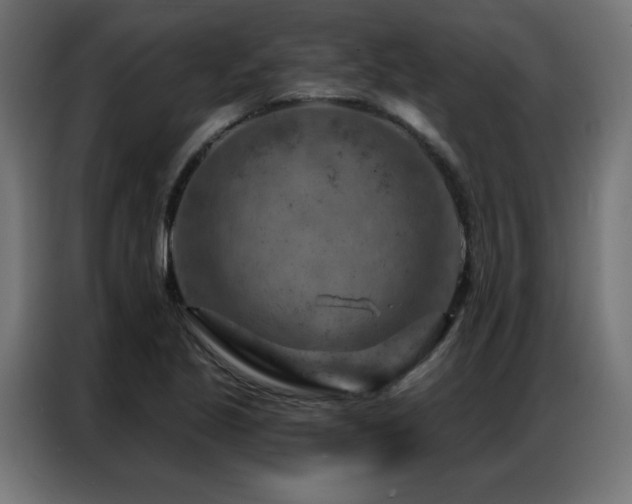 X0000087001221200704161518