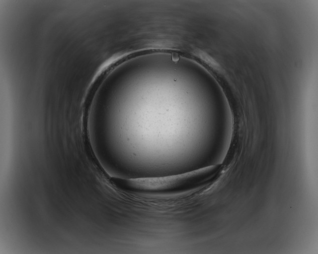 X0000087001222200704161518