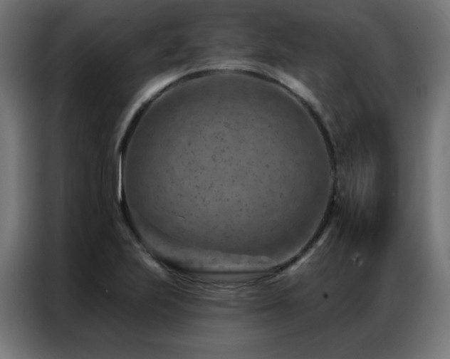 X0000087001223200704161518
