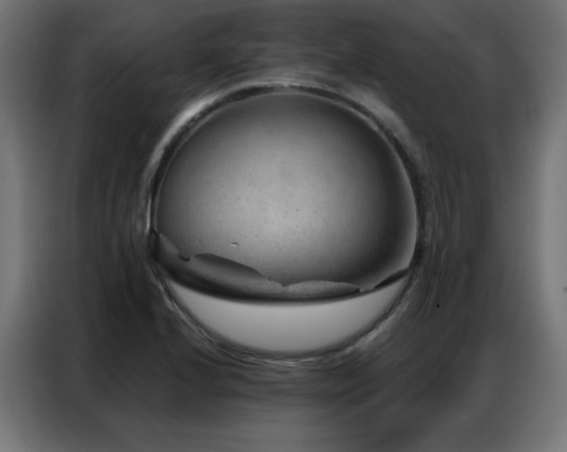 X0000087001224200704161518