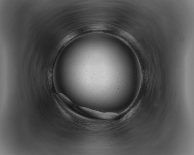 X0000087001225200704161518