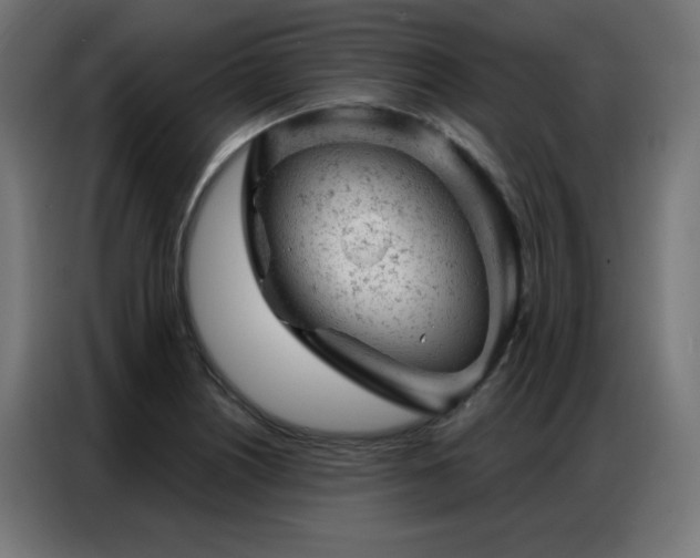 X0000087001226200704161518