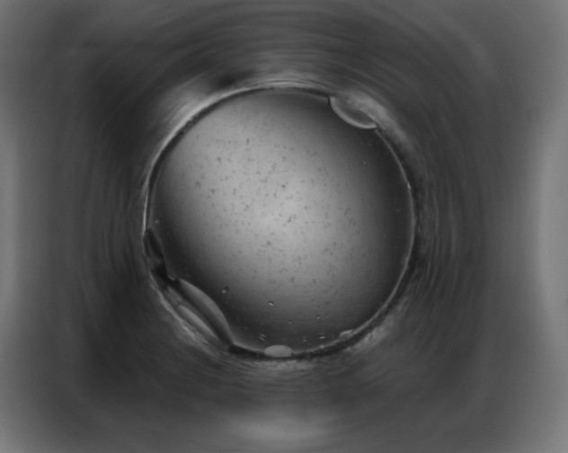 X0000087001228200704161518