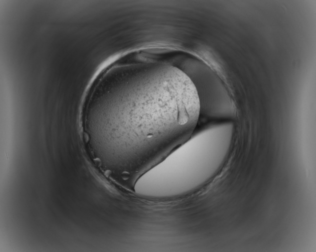 X0000087001230200704161518